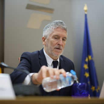 El ministro del Interior, Fernando Grande-Marlaska, en una imagen de archivo | Alejandro Martínez (Europa Press).