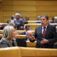 El ministro de Agricultura, Pesca y Alimentación, Luis Planas, interviene durante una sesión plenaria en el Senado  Alejandro Martínez Vélez - Europa Press