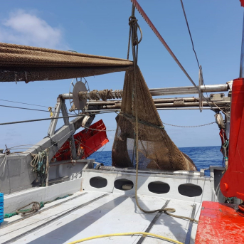 El 90% de la flota pesquera andaluza sigue amarrada por el temporal y el paro biológico