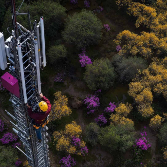 Nae, empresa de Minsait, publica la edición T2-2025 del barómetro de las telecomunicaciones en Colombia Cedida