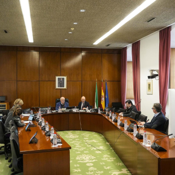 El Parlamento andaluz tratará la comisión del caso Mascarillas y culminará el debate de la Ley Universitaria la próxima semana