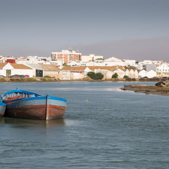 La Junta moviliza 3,1 millones para los grupos de Acción Local pesqueros y acuícolas La Junta moviliza 3,1 millones para los grupos de Acción Local pesqueros y acuícolas