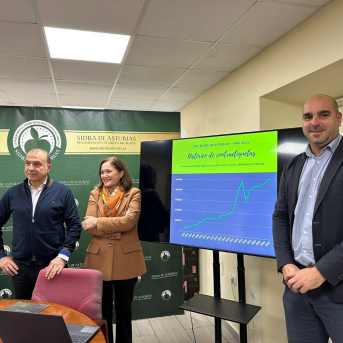 La DOP Sidra de Asturias bate récord de contraetiquetas y crece un 7,3% en 2025