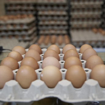 Los huevos lideran la subida de precios en 2025 con un 23%, por delante del chocolate y el café Los huevos lideran la subida de precios en 2025 con un 23%, por delante del chocolate y el café