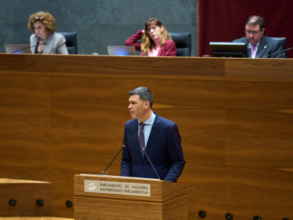 El Parlamento de Navarra tumba una moción para pedir al Gobierno un plan para atraer y retener talento
