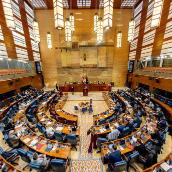 El PP afea a Vox su reduccionismo al exigir el origen de delincuentes para buscar la soledad parlamentaria