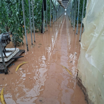 Efectos de la borrasca 'Leonardo' en un invernadero de Granada. COAG GRANADA