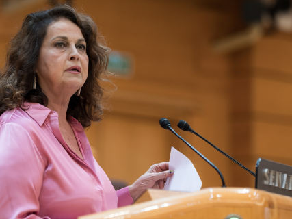 La senadora Carla Antonelli | Europapress