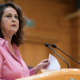 La senadora Carla Antonelli | Europapress