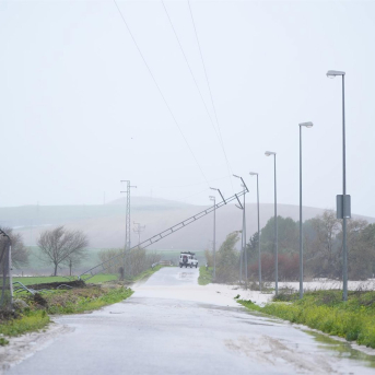 Caída del tendido eléctrico en la carretera de Villamartín a Bornos en la provincia de Cádiz provocado por la borrasca Leonardo. Joaquín Corchero - Europa Press Caída del tendido eléctrico en la carretera de Villamartín a Bornos en la provincia de Cádiz provocado por la borrasca Leonardo. Joaquín Corchero - Europa Press