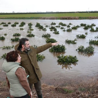 La Junta pedirá declarar catástrofe natural para asistir de urgencia a agricultores y ganaderos