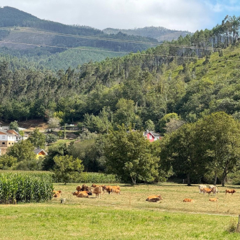 Fundadores de URA defienden su labor altruista y denuncian su veto al Congreso del sábado