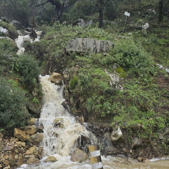 Imagen de archivo del municipio malagueño de Gaucín, en el Valle del Genal limítrofe con la provincia de Cádiz FB AYUNTAMIENTO DE GAUCÍN
