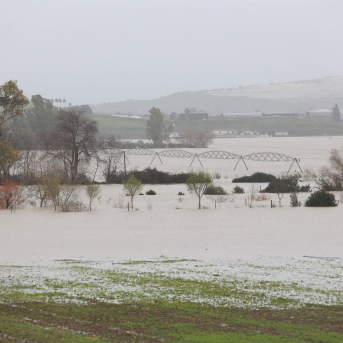 Imagen de la vega del Guadalete inundada tras el desbordamiento del río a su paso por la localidad gaditana de Jerez de la Frontera. A 4 de febrero de 2026, en Jerez de la Frontera, Cádiz (Andalucía, España). Rocío Ruz - Europa Press Imagen de la vega del Guadalete inundada tras el desbordamiento del río a su paso por la localidad gaditana de Jerez de la Frontera. A 4 de febrero de 2026, en Jerez de la Frontera, Cádiz (Andalucía, España). Rocío Ruz - Europa Press