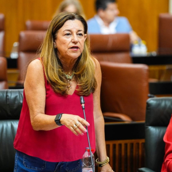 La Junta respalda quitar banderas de Palestina o Ucrania en colegios, donde solo pueden exhibirse enseñas “oficiales”