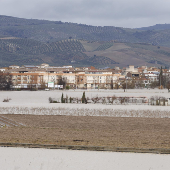Faeca analiza los daños de las inundaciones en las explotaciones de sus cooperativas