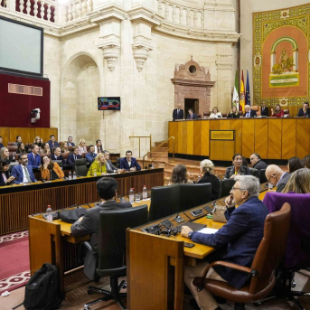 El Parlamento andaluz afronta la comisión del caso Mascarillas y el cierre del debate de la Ley Universitaria