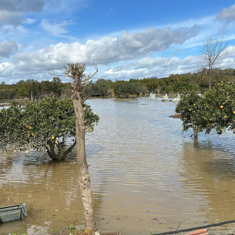 Una de las zonas inundadas en el municipio de San Roque. AYUNTAMIENTO DE SAN ROQUE