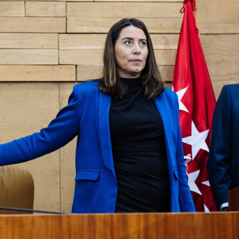 La vicepresidenta primera de la Asamblea de Madrid, Ana Millán, a su llegada a una sesión plenaria en la Asamblea de Madrid. Carlos Luján - Europa Press La vicepresidenta primera de la Asamblea de Madrid, Ana Millán, a su llegada a una sesión plenaria en la Asamblea de Madrid. Carlos Luján - Europa Press