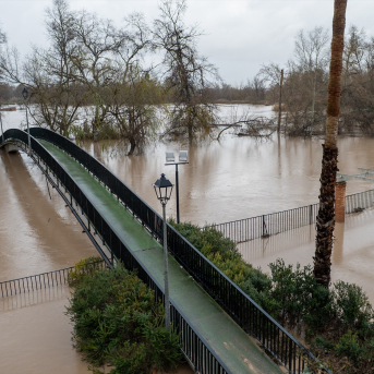 Andalucía está siendo una de las comunidades más afectadas por las borrascas en 2026. C. G./Europa Press. Andalucía está siendo una de las comunidades más afectadas por las borrascas en 2026. C. G./Europa Press.