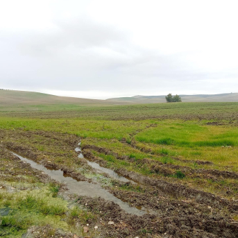 Asaja Córdoba reclama a los ayuntamientos la exención del IBI rústico en toda la provincia Asaja Córdoba reclama a los ayuntamientos la exención del IBI rústico en toda la provincia