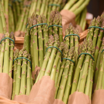 Grave riesgo para casi toda la cosecha de espárrago verde de Huétor Tájar por las últimas borrascas
