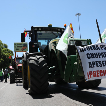 Tractorada desde Guadalajara y otras provincias hacia Madrid contra la PAC y el acuerdo UE‑Mercosur