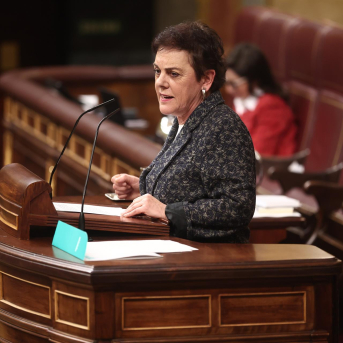 La portavoz de Euskal Herria Bildu, Mertxe Aizpurua, en una sesión de control al Gobierno , en el Congreso de los Diputados, a 11 de febrero de 2026, en Madrid (España).  Eduardo Parra - Europa Press