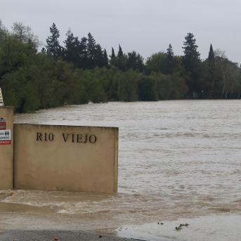 Las borrascas paralizan la poda y replantación de viñas en el Marco de Jerez