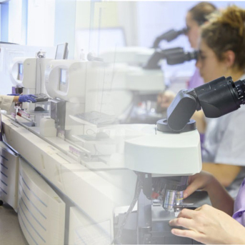 La AECC destaca que sus ayudas han contribuido a aumentar las investigaciones lideradas por mujeres DEPARTAMENTO DE SALUD