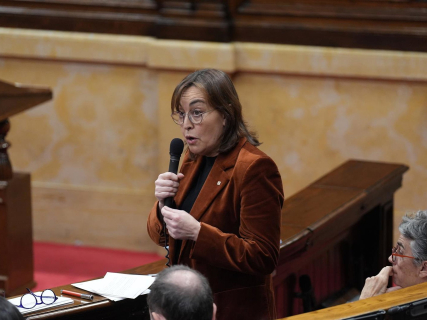 Paneque critica las “soluciones mágicas” de Junts sobre Rodalies y niega la existencia de un contrato con Renfe