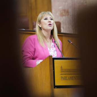 La consejera de Economía, María José López, este miércoles durante su intervención en el Pleno del Parlamento sobre la oferta del modelo de financiación. MARÍA JOSÉ LÓPEZ/EUROPA PRESS La consejera de Economía, María José López, este miércoles durante su intervención en el Pleno del Parlamento sobre la oferta del modelo de financiación. MARÍA JOSÉ LÓPEZ/EUROPA PRESS