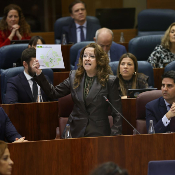 La Comunidad acusa a Mónica García de privatizarlo todo mientras promueve una ley sectaria e ineficaz