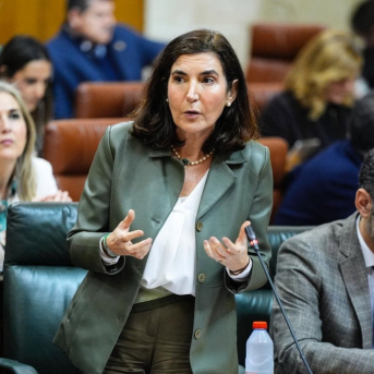 La consejera de Empleo, Empresa y Trabajo Autónomo, Rocío Blanco. JOAQUÍN CORCHERO / PARLAMENTO La consejera de Empleo, Empresa y Trabajo Autónomo, Rocío Blanco. JOAQUÍN CORCHERO / PARLAMENTO