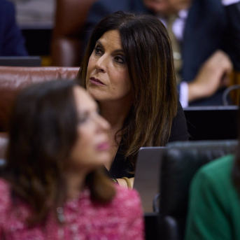 El Parlamento andaluz tumba con la mayoría del PP-A la comisión de investigación sobre el caso mascarillas