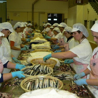 Cantabria cierra 43 industrias agroalimentarias en 2025 Cantabria cierra 43 industrias agroalimentarias en 2025