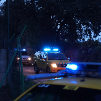 Confirman 13 nuevos casos de PPA y dos aparecen fuera del perímetro inicial de Collserola Confirman 13 nuevos casos de PPA y dos aparecen fuera del perímetro inicial de Collserola