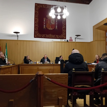 Juicio contra el acusado de intentar matar a martillazos a su compañero de trabajo en Peligros (Granada) EUROPA PRESS