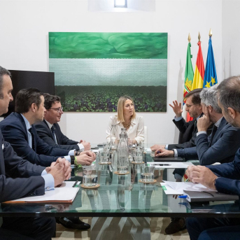 La presidenta de la Junta de Extremadura en funciones, María Guardiola, durante la reunión este viernes con los responsables de Fotowatio Renewable Ventures (FRV). JUNTA DE EXTREMADURA
