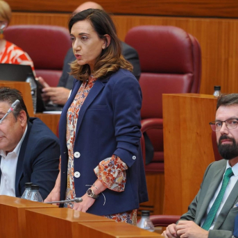 La candidata de UPL a la Presidencia de la Junta y secretaria general del partido, Alicia Gallego, en una imagen de archivo en las Cortes de Castilla y León. UPL La candidata de UPL a la Presidencia de la Junta y secretaria general del partido, Alicia Gallego, en una imagen de archivo en las Cortes de Castilla y León. UPL