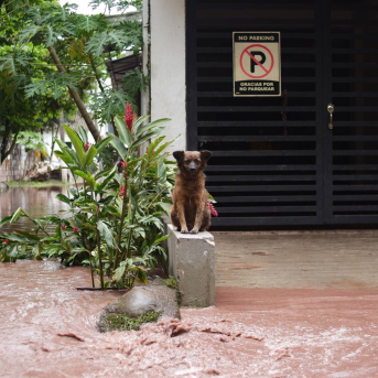 El río Guatiquia se desbordara debido a las lluvias a su paso por Villavicencio, Meta, Colombia (archivo) Europa Press/Contacto/Mario Toro Quintero