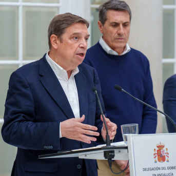 Planas reconoce que el temporal ha causado daños mayores de lo previsto en el campo andaluz Planas reconoce que el temporal ha causado daños mayores de lo previsto en el campo andaluz