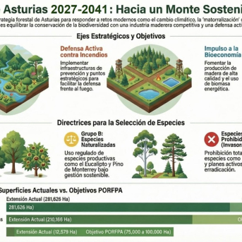 Sale a información pública la evaluación ambiental del plan forestal de Asturias hasta 2041 Sale a información pública la evaluación ambiental del plan forestal de Asturias hasta 2041