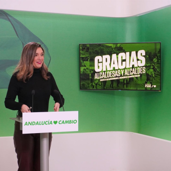 PSOE-A reclama un grupo de trabajo urgente en el Parlamento para la reconstrucción de Andalucía