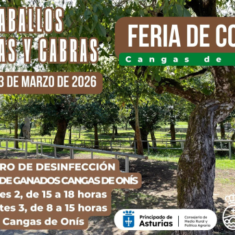 La Feria de Corao mantiene su cita pero sin reses bovinas por la dermatosis nodular