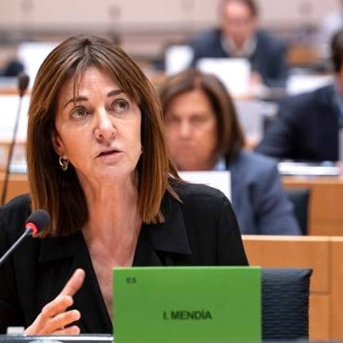 Mendia reclama a la Comisión Europea acción urgente para blindar a Tubos Reunidos frente a la presión arancelaria