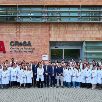 Irta-CReSA liderará un nuevo análisis del brote de PPA detectado en Catalunya Irta-CReSA liderará un nuevo análisis del brote de PPA detectado en Catalunya