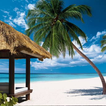 Playa Del Caribe. ORIZONIA Playa Del Caribe. ORIZONIA