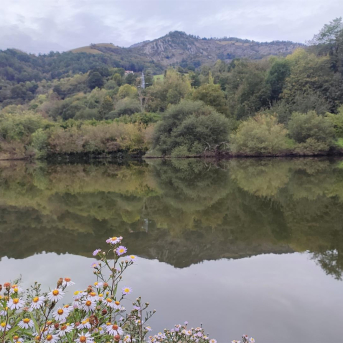 La cuenca del Cantábrico Occidental roza el lleno con el 90,8% de su capacidad de agua