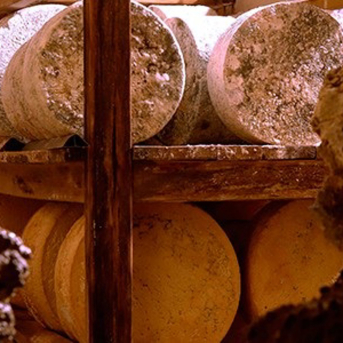 El Queso Gamonéu sostiene su producción en 2025 pese a la caída de leche recogida El Queso Gamonéu sostiene su producción en 2025 pese a la caída de leche recogida